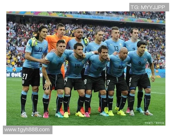 足球球星博主推荐与解析：深度解析全球顶尖球员的风采与数据